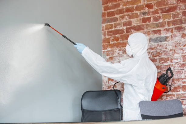 Best Post-Remediation Verification Testing  in Powdersville, SC