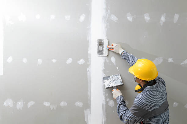 Best Mold-Related Health Consultation  in Powdersville, SC