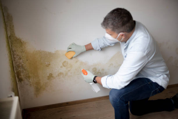Best Airborne Mold Testing  in Powdersville, SC