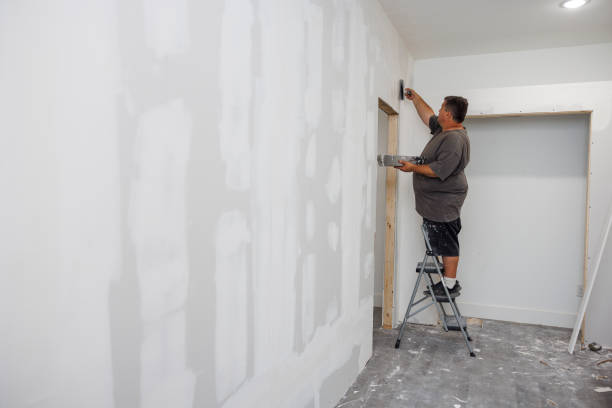 Biohazard Mold Removal in Powdersville, SC