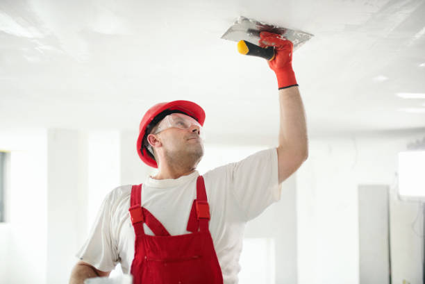 Best Real Estate Mold Inspection  in Powdersville, SC