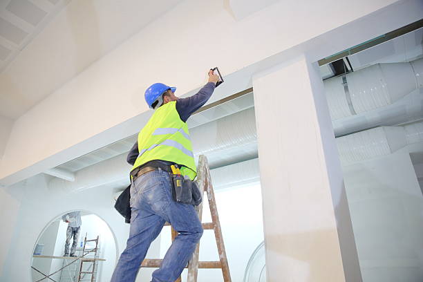 Best Mold Damage Restoration  in Powdersville, SC
