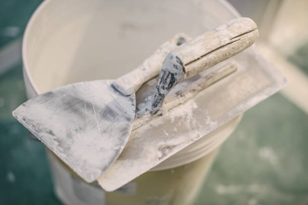 Trusted Powdersville, SC Mold Removal Experts